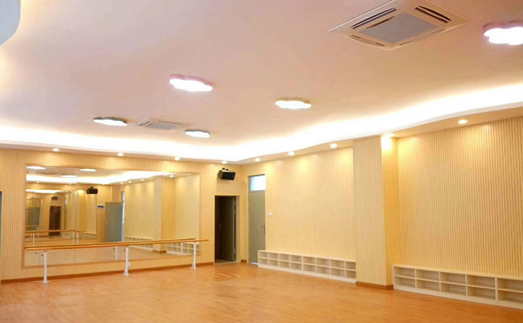 惠州小學舞蹈室隔音板工程 惠州小學舞蹈室隔音板工程