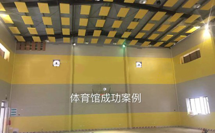 廣州室內(nèi)體育館吸音板工程 廣州室內(nèi)體育館吸音板工程